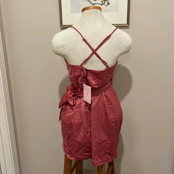 NWT!! Hello Molly - IF THE GOWN FITS DRESS - ROSE - Size Small / US 4 - Picture 9 of 12